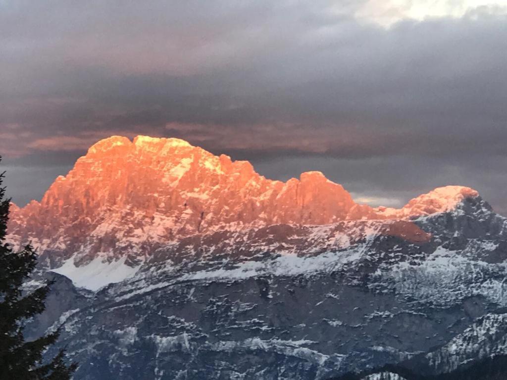 Il Nido Dei Gufi * Falcade